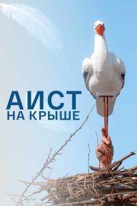 Аист на крыше (1 сезон) 2021 скачать торрент