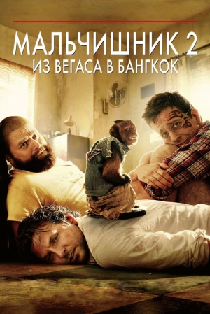 Мальчишник 2: Из Вегаса в Бангкок 2011 скачать торрент