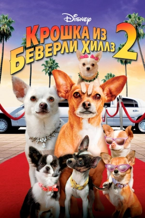 Крошка из Беверли-Хиллз 2 2010 скачать торрент