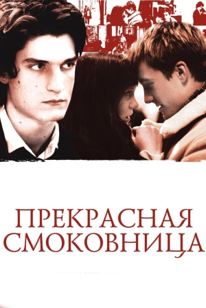 Прекрасная смоковница 2008 скачать торрент